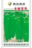 大宝王子