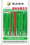 高科长顺王子 