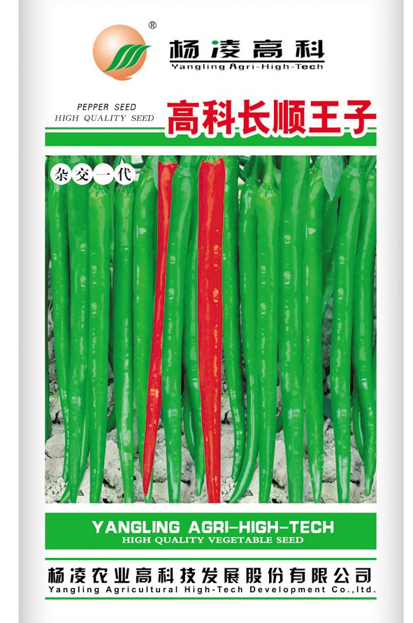 高科长顺王子 