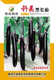 科美黑长茄