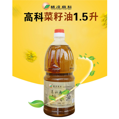 高科菜籽油