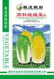 高科娃娃菜