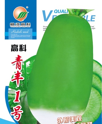 高科青丰1号