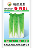 秦白88