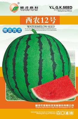 西农12号