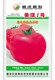 美琪1号