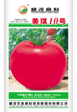 美琪10号