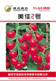 美佳2号