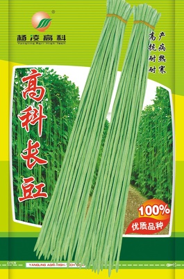 高科长豇