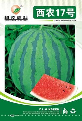 西农17号