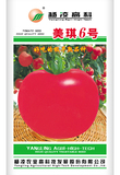 美琪6号