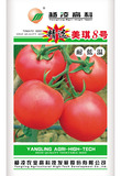 美琪8号