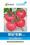 世纪毛粉