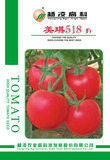美琪518