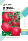 美琪538