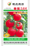 美琪508