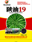 陕油19