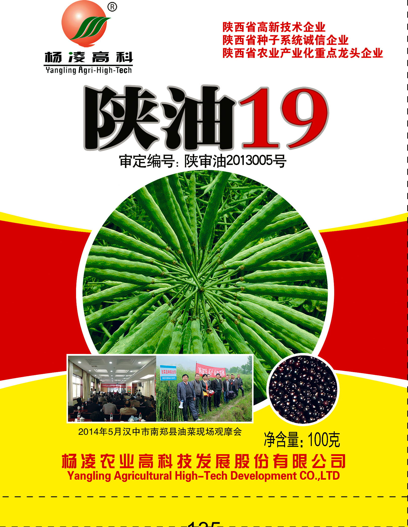 陕油19