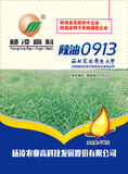 陕油0913