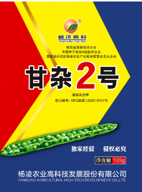 甘杂二号