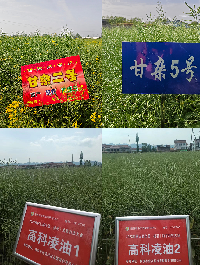 微信图片_20240611162818.png